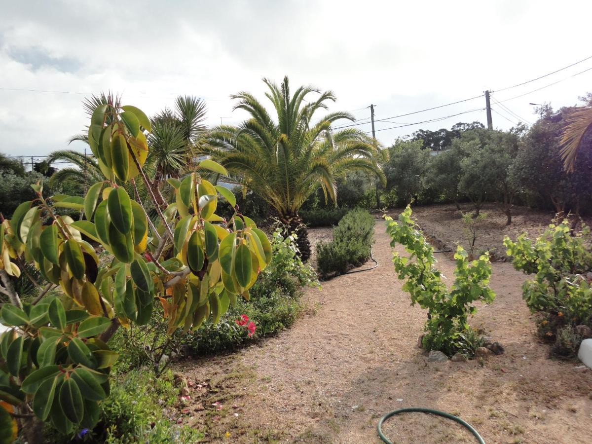 Villa El Alcazar Carvoeiro  Rum bild